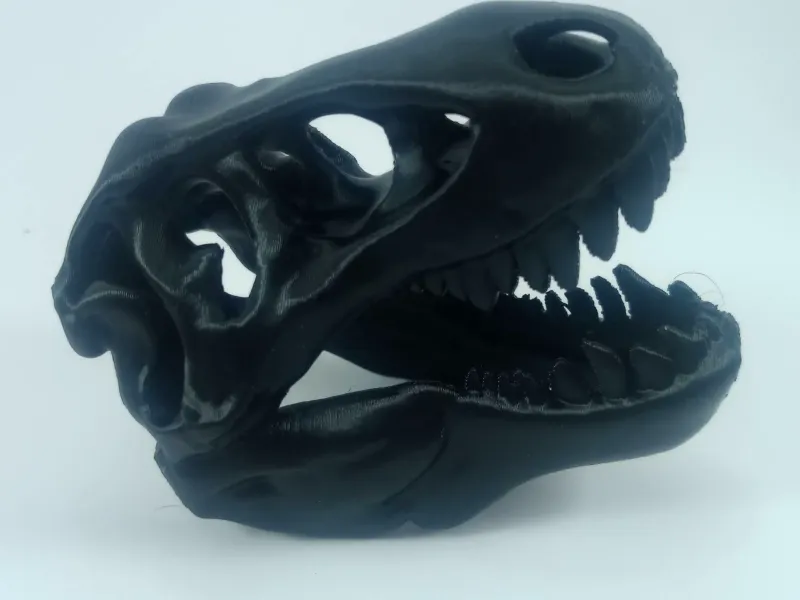 Teschio di T-Rex