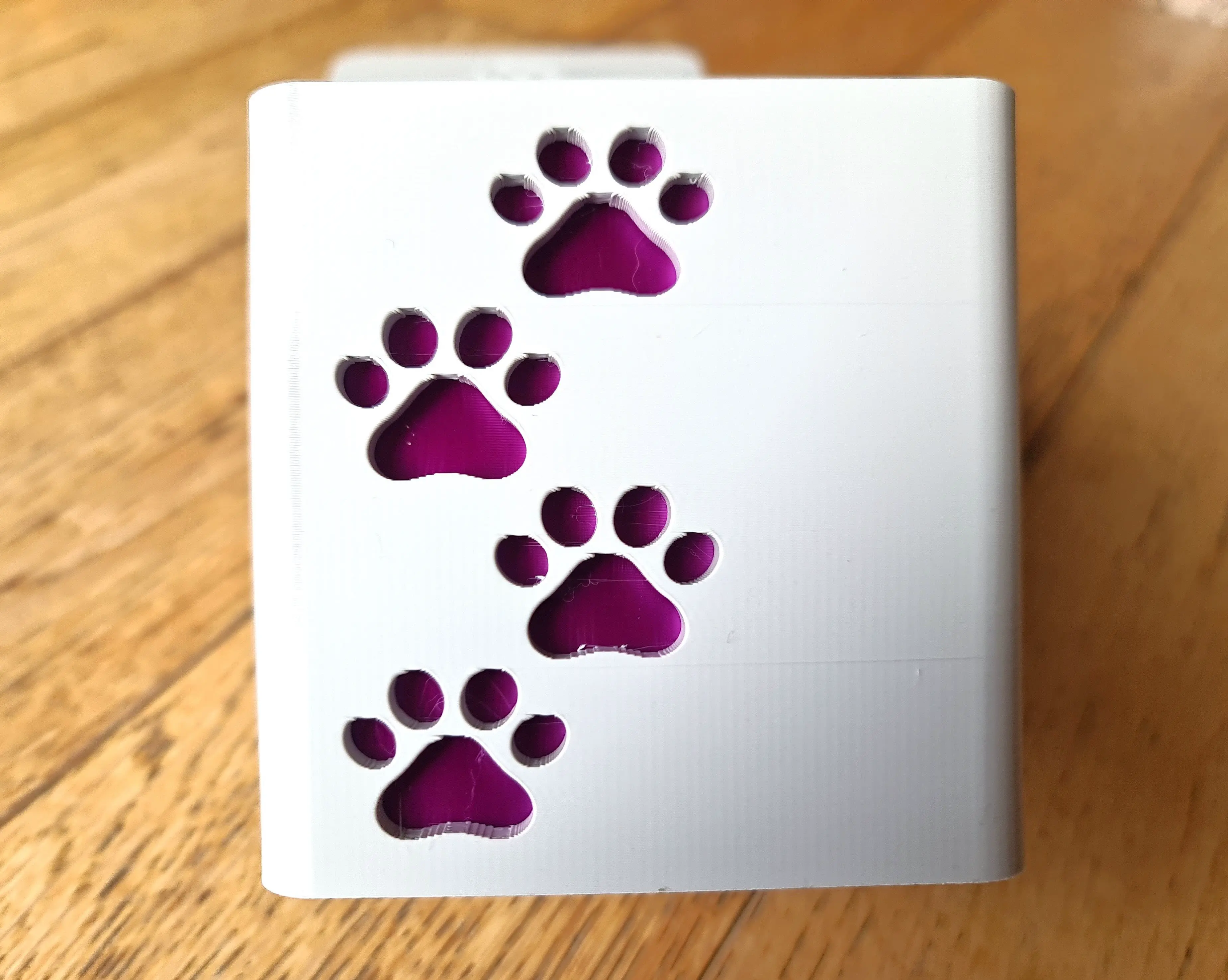 Dog Cat Pet Paw Print Box storage cube with colour insert