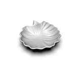A different seashell-5