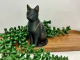 gatti-3