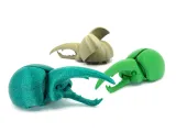 Happy Beetles-3