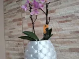 Vaso Almofadado-1