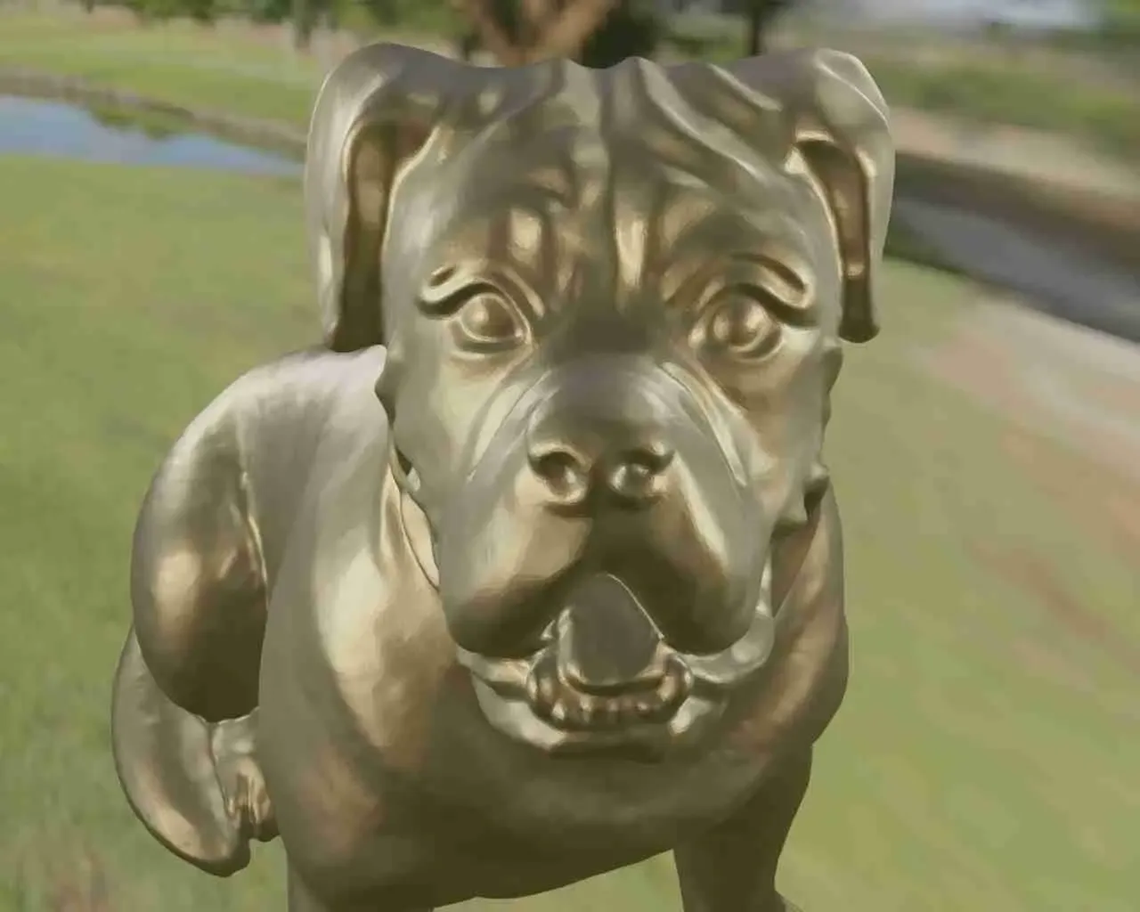Dog Pitbull