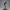 Captain Valeria Sterling – Skyfleet Command Edition