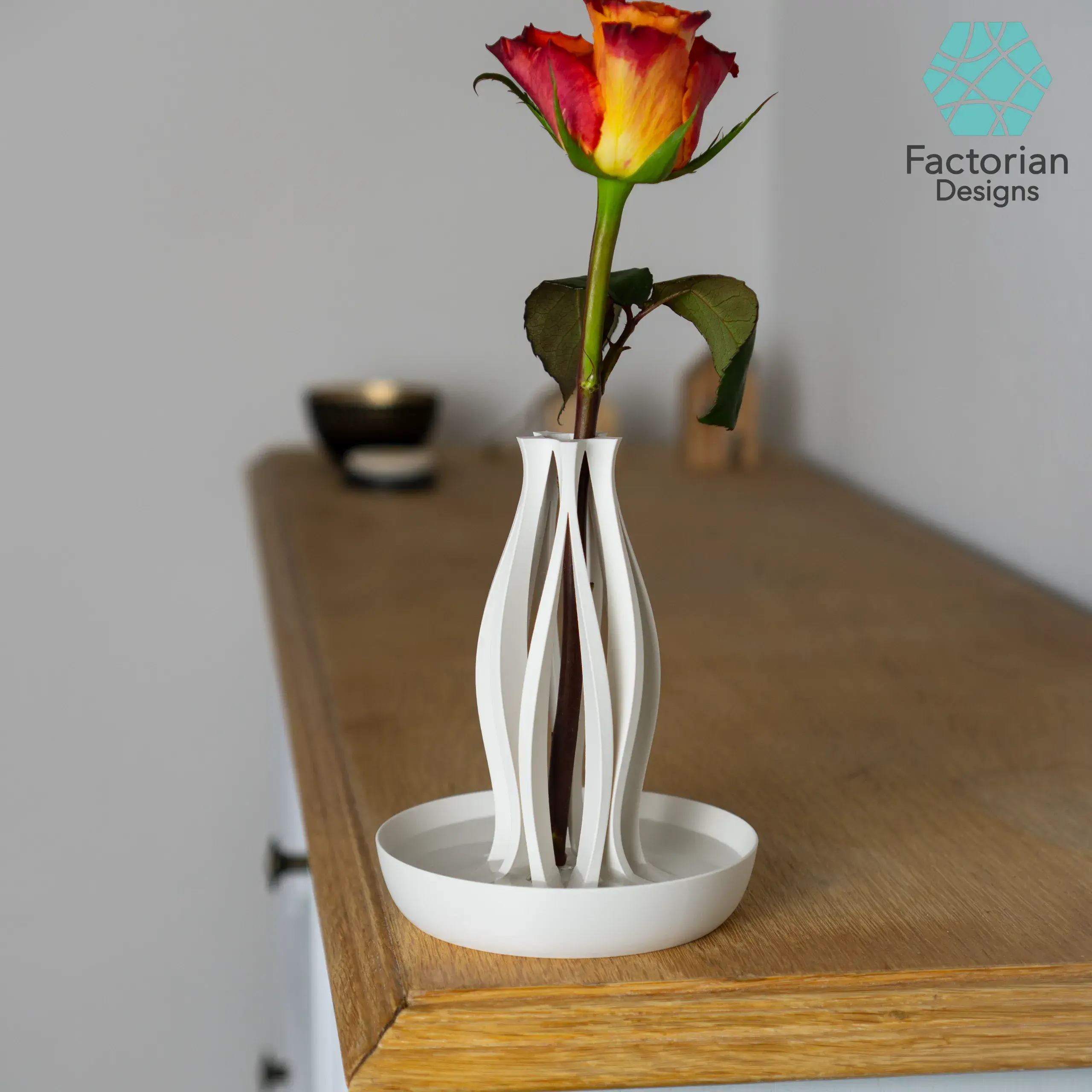 Mordern Vase "Emberflare" | Propagation Vase STL to 3D print