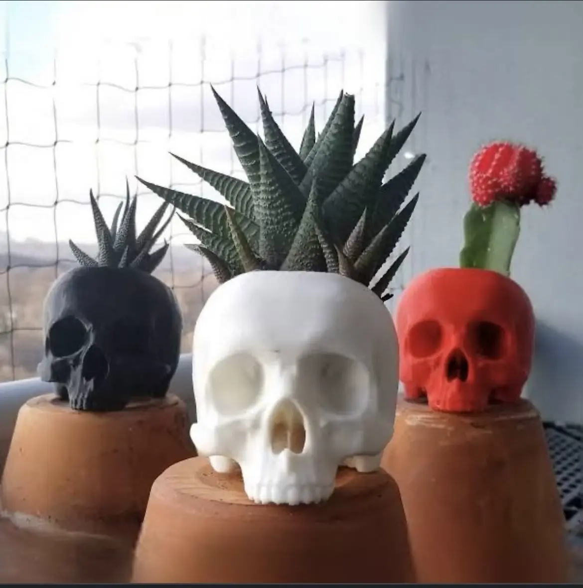 Skull plant pot