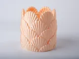Peach Seashell Vase - Coastal Shell Decorative Vase-1