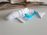 Humpback Whale Flexi-1