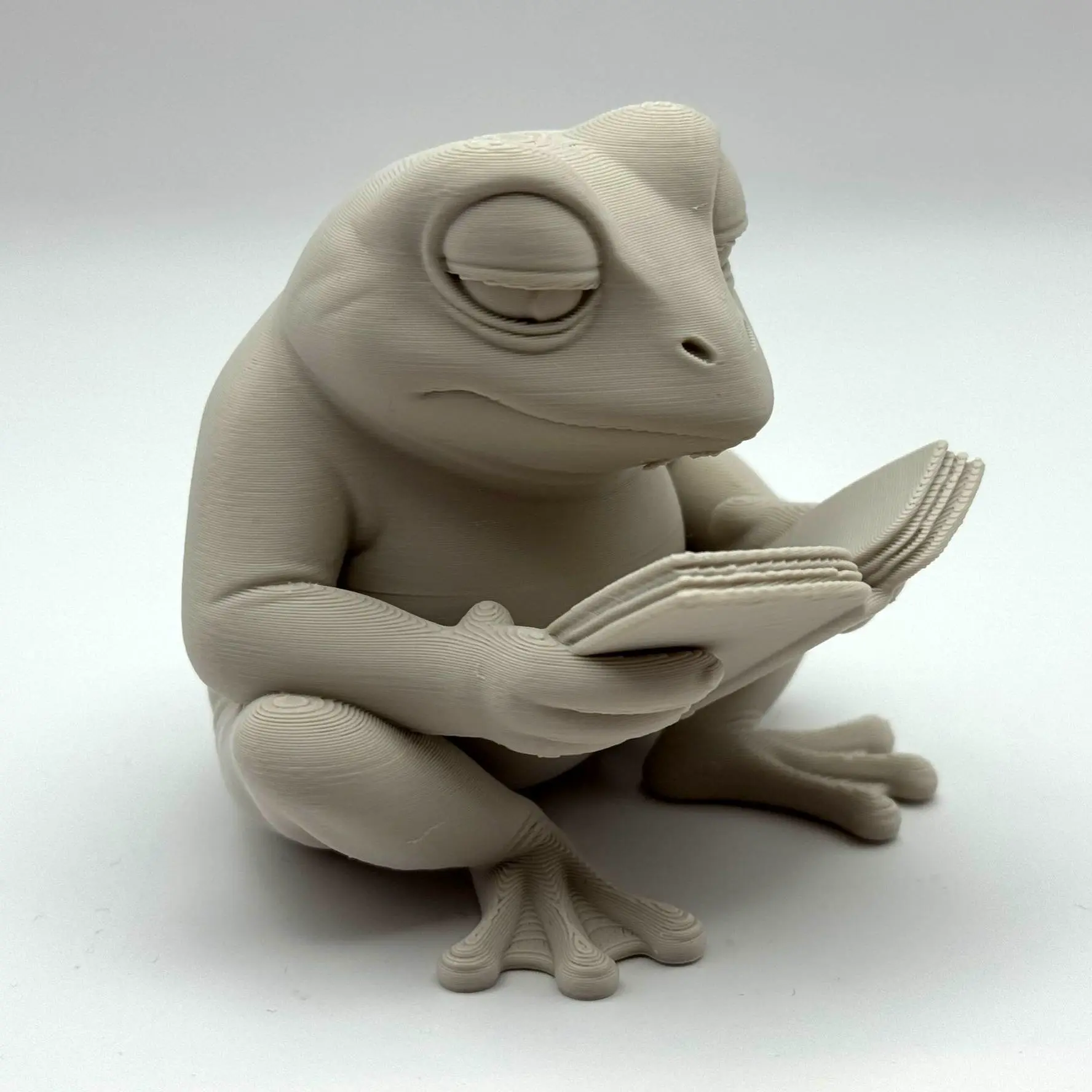 The Reading Frog