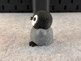 Tenero pinguino-6