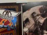 Vinyl Record Wall Display-6