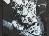 Jaguar II.-0