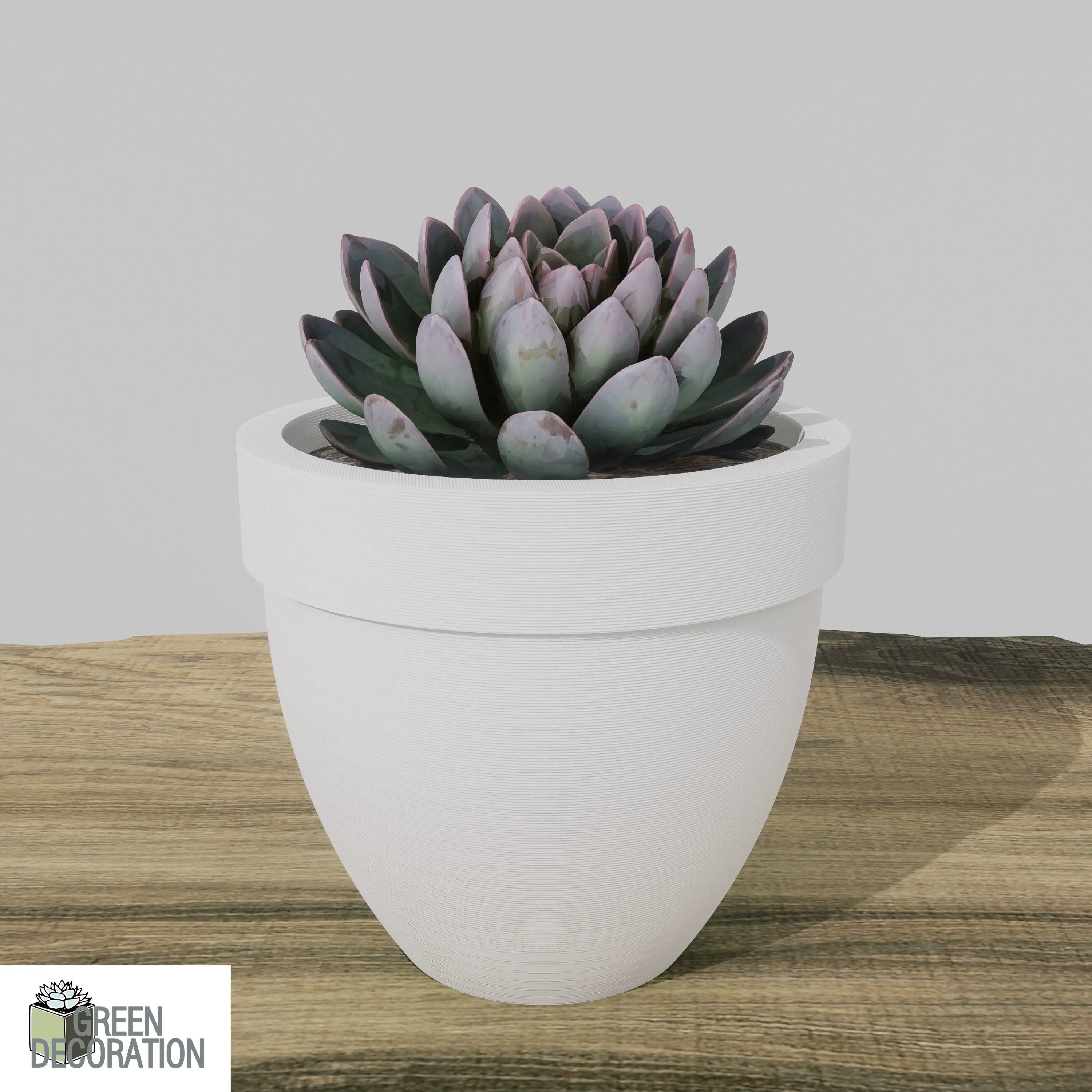 FLOWER POT FOR HOME DECORATION. FP8