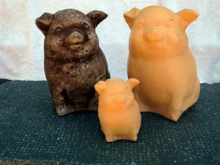 Lucky Pig