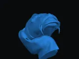 Carp Head-1