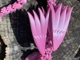 FireBird Remake-8