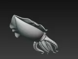cuttlefish-2