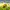 Minecraft Bee – Flexy Print-in-Place + Keychain Version