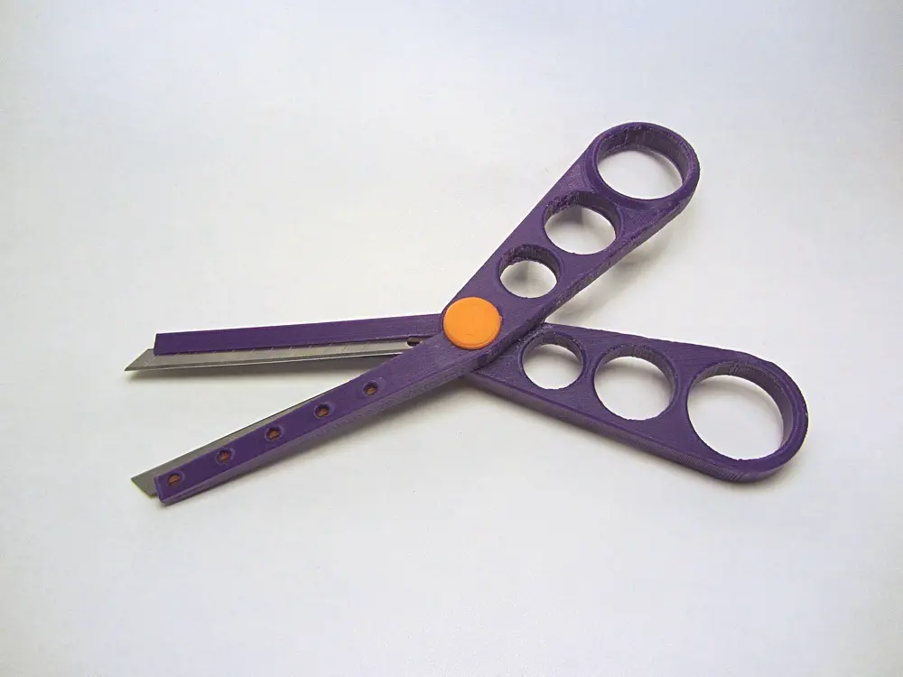 Wicked Sharp Scissors (with replaceable blades)