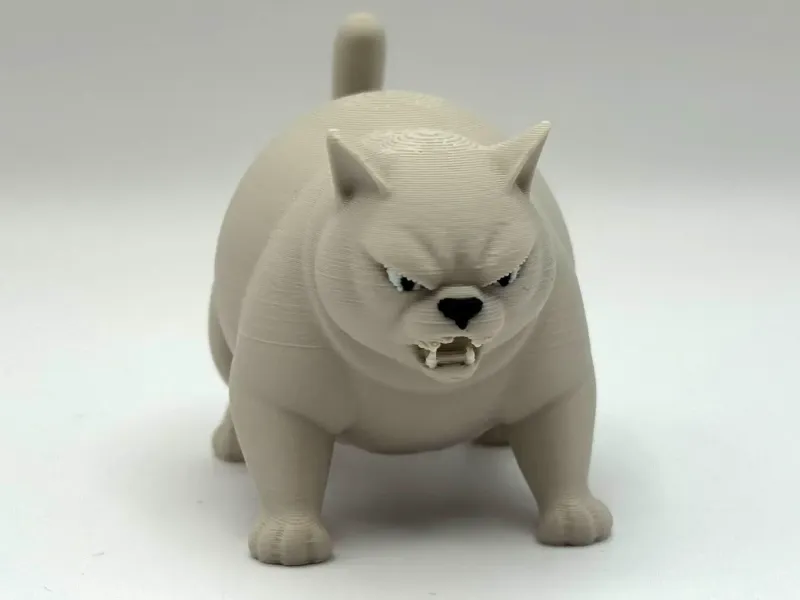Angry Chonky Cat