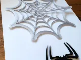 Spider Web Halloween Decoration-2
