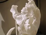 MiniSaberToothSkull improvement Support-4