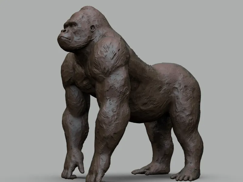 gorila
