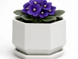 Modern Geometric, Octagonal Planter and Saucer Set-2
