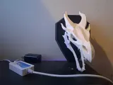 Dragon Wall Mounted-3