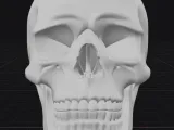 skull-1