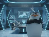 Cartoon penguin-1