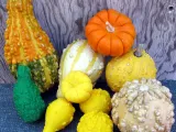 Five Gourds-0