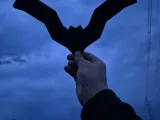 Boomerang di Batman-2