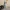 Garou Figurine.