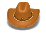cowboy hat-2