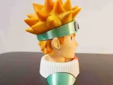 NARUTO - AFDRUKKEN OP KLEUR-5