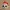 esfera de sans navideño