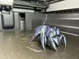 Little Spider-3