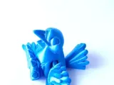 Bonito Pájaro Azul-2