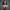 PIN-UP STYLE MODEL NUDE BUST