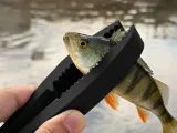 fish holder easy to print-0