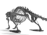 Rat_Skeleton – Realistic Detailed Rodent Bone Structure-2