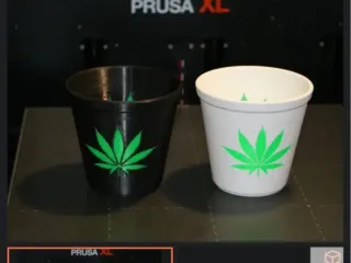 Weed plant