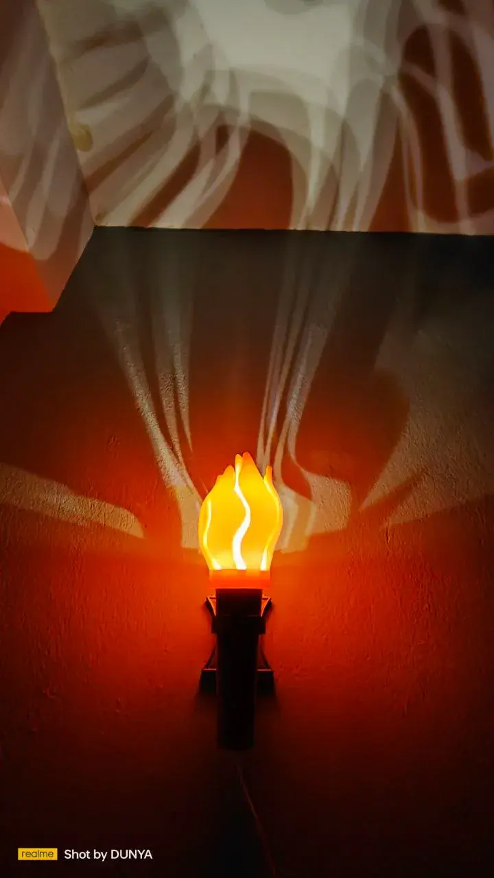 THE TORCH