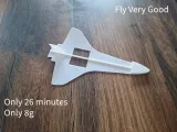 Space Shuttle Glider-1