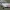 Renault Clio 3, Megane 2, Scenic 2, Kangoo 2 emblem 82001151