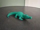 Realistic Crocodile-7