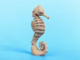 Caballo de mar-7