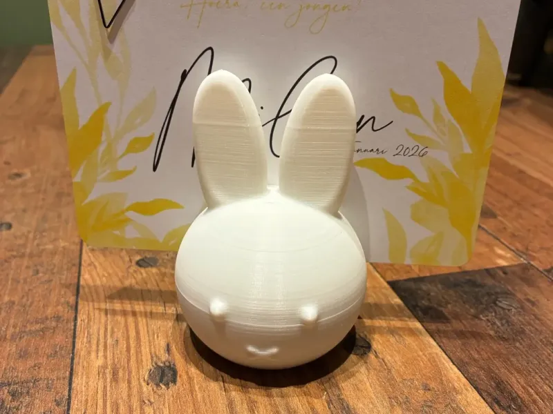 Portacarte Nijntje/Miffy