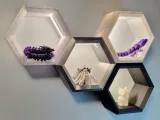 Hexagonal Shelves with LED Lighting and Cable Management System-1